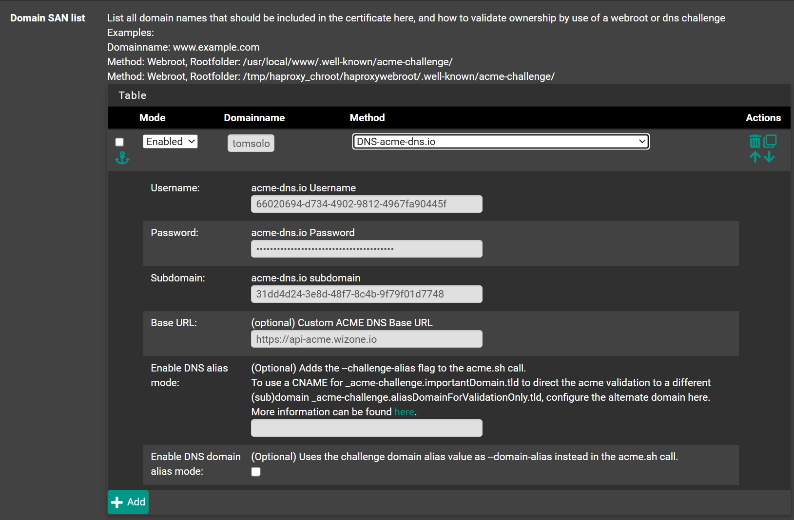 ACME DNS Configuration